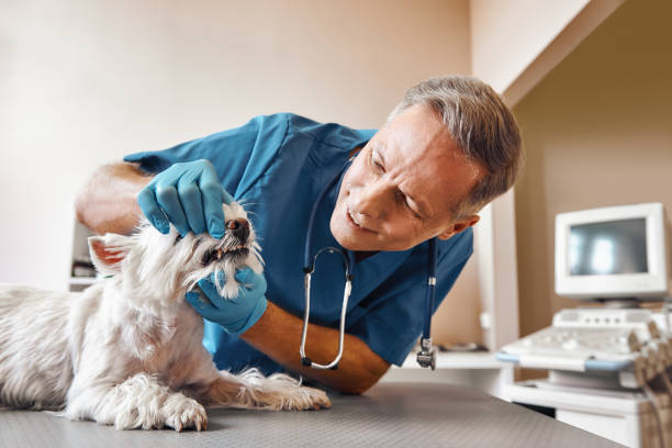 Best Emergency Treatment for Dental Infections or Abscesses in Kingsburg, CA